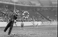 Rodeo clown Bob Feller Bull fighting