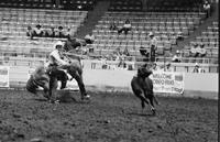 Mike McLaughlin Calf roping