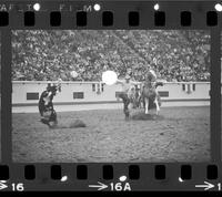 Junior Garrison Calf roping