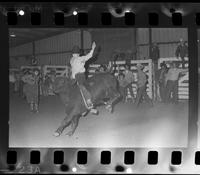 Dave Moellering, Junior Steer riding