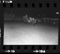 Les Guilla Steer wrestling