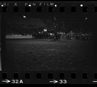 Jim Smith Steer wrestling