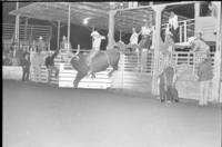 Randy Magers on Bull #73