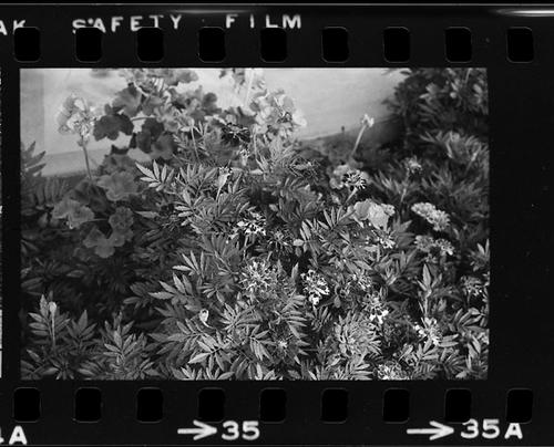 Little Rock, Roll H, 10-04-05 &amp; 06-1973