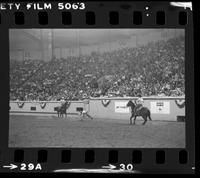 Rodriguez & Luman Team roping