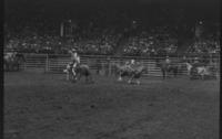 Boatright & Sailors Team roping