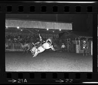 Jim Hill on Saddle bronc #39