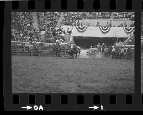 NFR, Oklahoma City, Roll Y, 7th Perf.