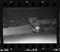 Trick riders including,Jeanette Pluncket, Kathy Garathouse, Christi Brown, & Dollie Beutler