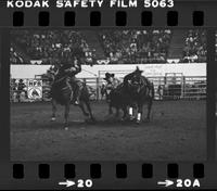 Paul Luchsinger Steer wrestling