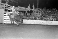 Butch Kirby on Bull #73