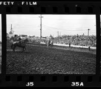 Tom Arnold on unknown Saddle bronc