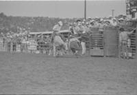 Jerome Robinson on Bull #18