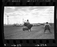 Steve Glover Bull riding