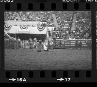 Butch Bode Calf roping