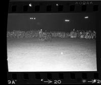 Bob Godwin Steer wrestling