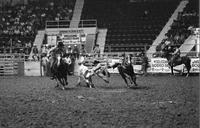 Bubba Wied Steer wrestling