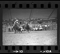 Marvin Joyce Steer wrestling