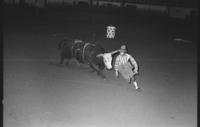 Unidentified Rodeo clowns bull fighting with Bright Eyes