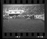 Watkins & Moreno Team roping