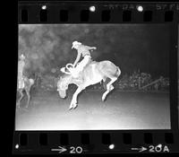 Jim Ericsson on Saddle bronc #66