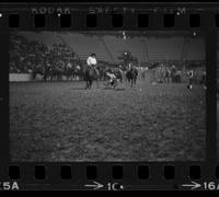 Myron Morehouse Steer wrestling