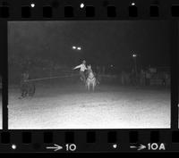 Meredith Boyer Calf roping