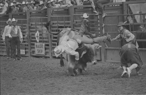 Prescott, Roll N, 07-04, 05, &amp; 06-1975