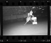 Unidentified Barrel racer