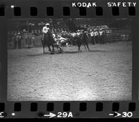 Jim Painter Steer wrestling