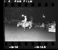 Chuck Waldie on unknown Saddle bronc