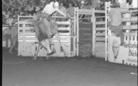 Randy Magers on Bull #22