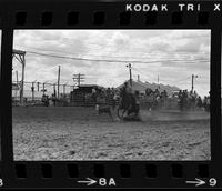 Zane Tibbets Calf roping, 10.8 Sec