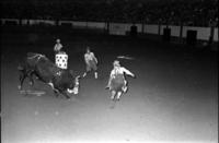 Unidentified Rodeo clowns bull fighting with Bright Eyes