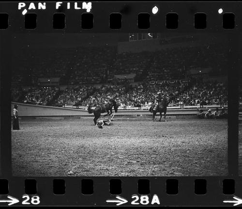 Memphis, Roll D, 09-23 &amp; 24-1972