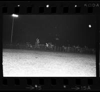 Harold Spencer Steer wrestling