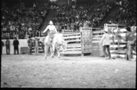 Jerry Beagley on Bull #27