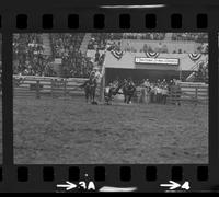 Leon Bauerle Steer Wrestling