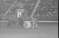 Unidentified Rodeo clown Bull fighting