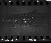 Bob Trenz Calf roping