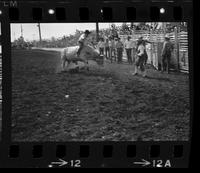 Bob Skolberg on White Lightning