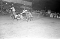 David Vowell Steer wrestling