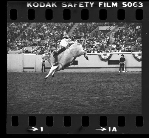NFR, Oklahoma City, Roll L, 3rd Perf.