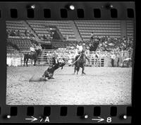 Linus Thornton Calf roping