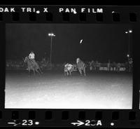 ReD Doffin Steer wrestling