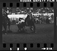 Chris Lybbert Steer wrestling