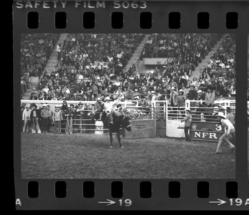 NFR, Oklahoma City, Roll Q, 5th Perf.