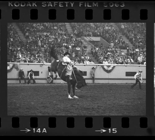 NFR, Oklahoma City, Roll F, 2nd Perf.