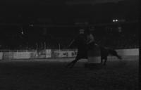 Lisa Dunlavy Barrel racing