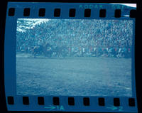 Curtis Coomes Steer wrestling